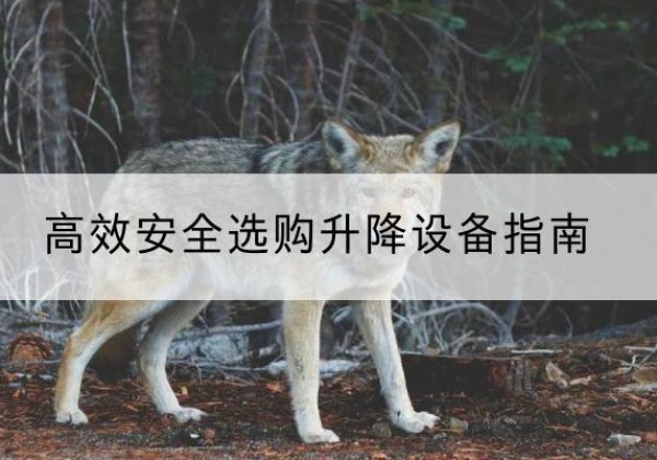 阿克陶升降货梯厂家推荐-*安全选购升降设备指南