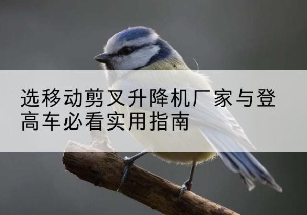 阿克陶电动升降机厂家-选移动剪叉升降机厂家与登高车必看实用指南